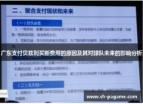 广东支付贝兹利买断费用的原因及其对球队未来的影响分析