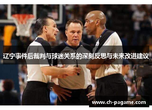 辽宁事件后裁判与球迷关系的深刻反思与未来改进建议 辽宁事件后裁判与球迷关系的深刻反思与未来改进建议