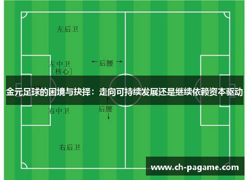 金元足球的困境与抉择：走向可持续发展还是继续依赖资本驱动